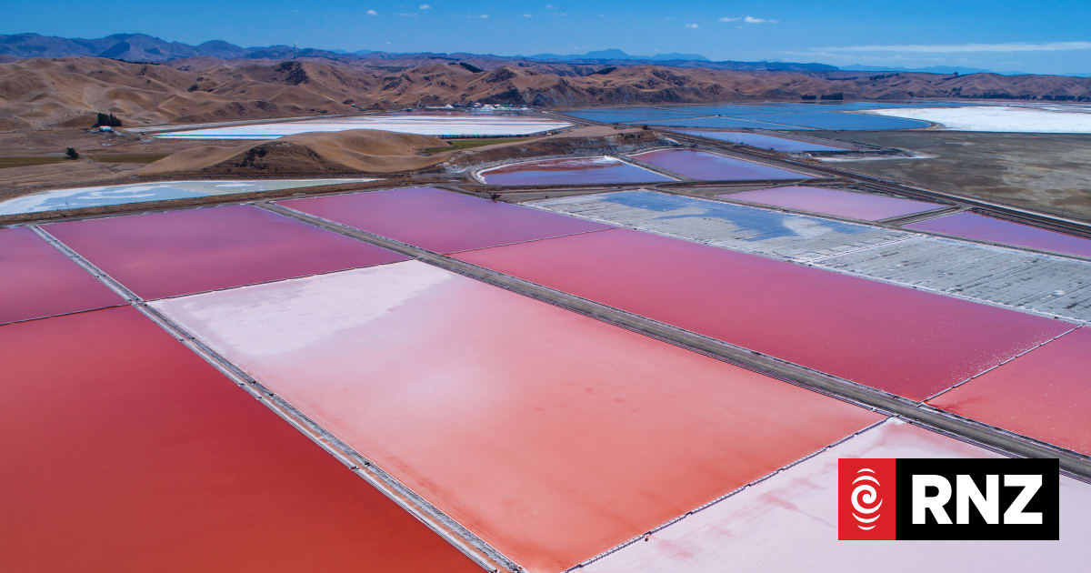 'Bumper' salt volumes in cyclone recovery for Dominion Salt | RNZ