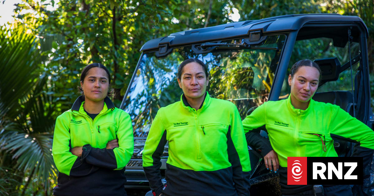 Bringing Aotea back to life through a te ao Māori lens