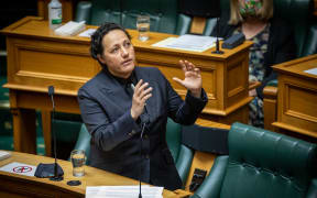 Labour MP Kiri Allan during the General Debate