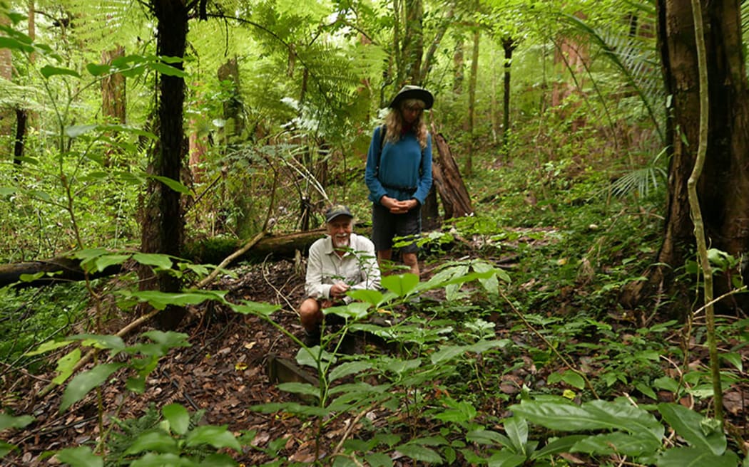 Ecologists Chris Richmond and Vicky Froude surrounded by new growth in the Old Russell Sanctuary