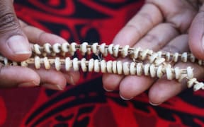 ‘Tabu’ shell money is still used by the Tolai people in East New Britain, Papua New Guinea. for customary exchanges including bride price, pictured on December 26, 2024.