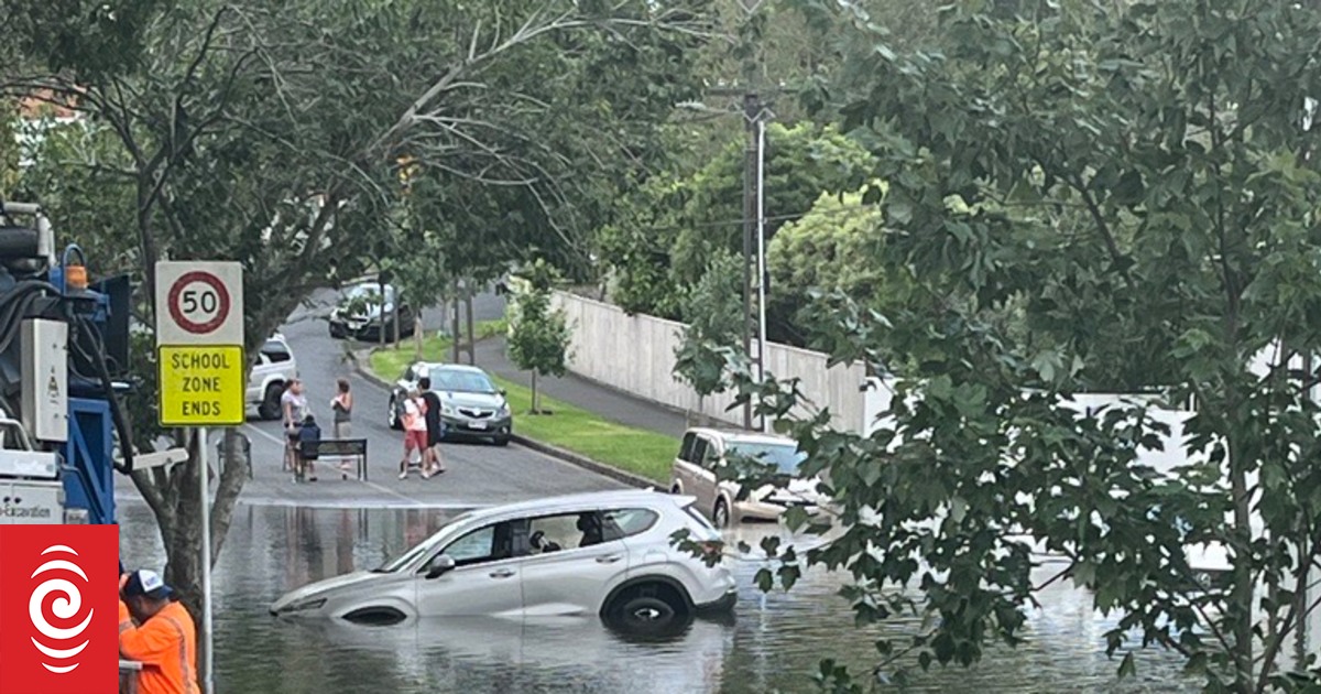 Flooddamaged cars What you need to know RNZ News