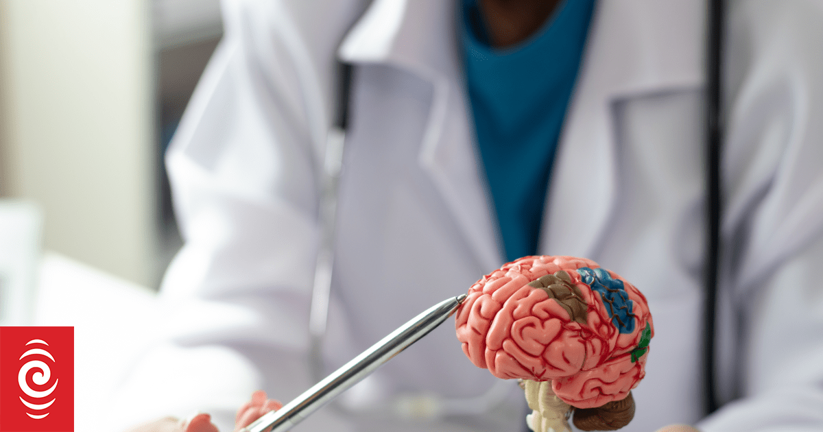 Scientists discover four major turning points for human brain