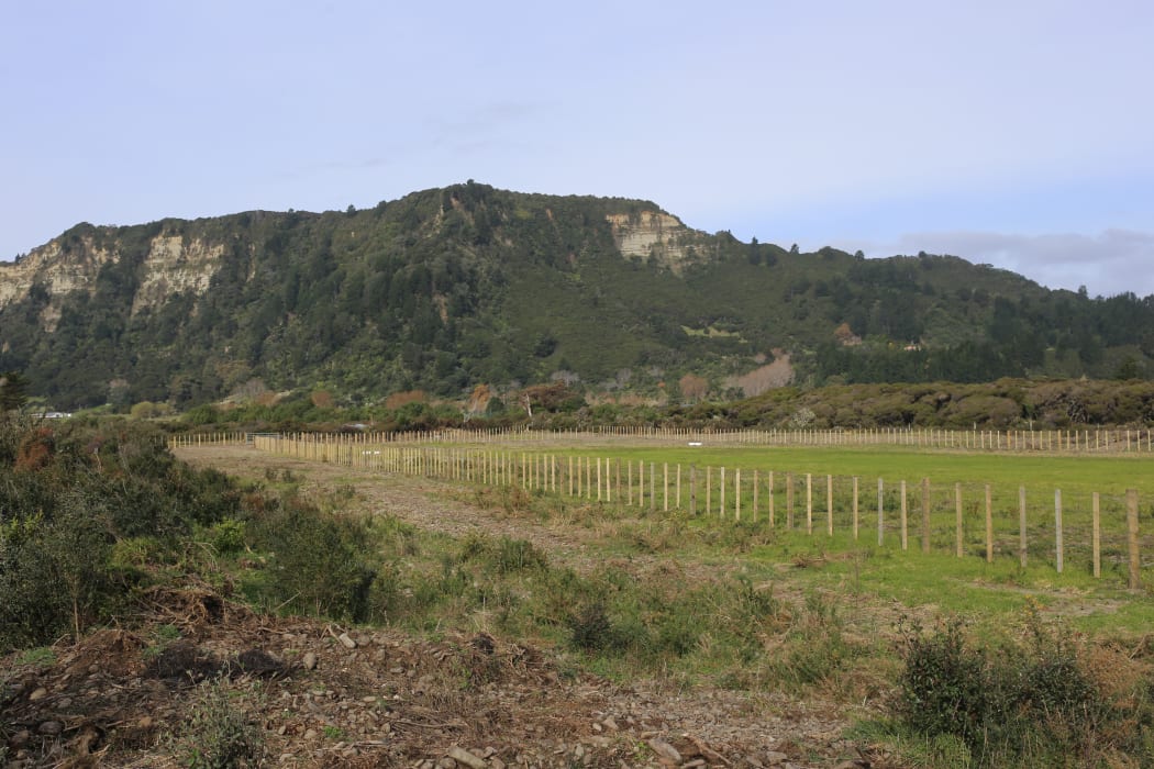 Unconsented construction of the airstrip infringed on a portion of a regionally significant wetland as identified in the Tairāwhiti Resource Management Plan.