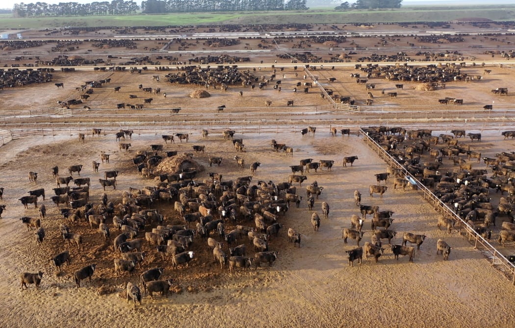 Environmentalist Geoff Reid described the conditions the animals were being kept in as mud farming.