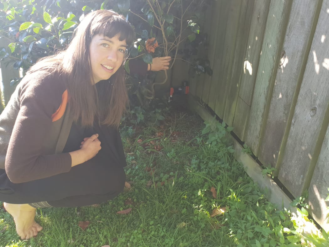 Hannah Mackintosh has seen an increase in native birds after setting up a trap in her backyard.