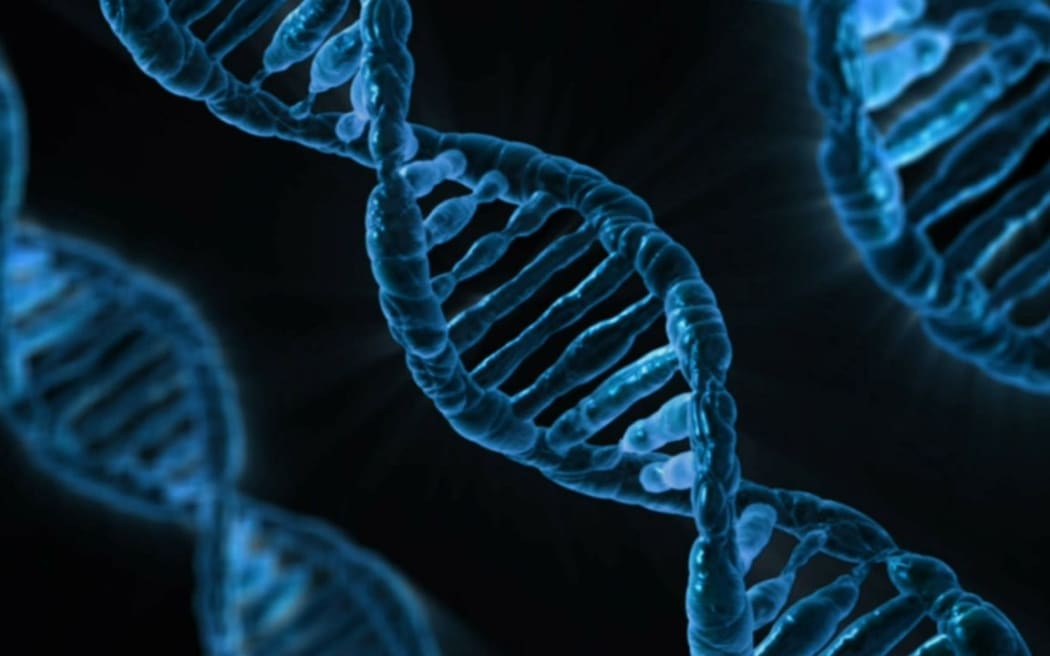 Genes