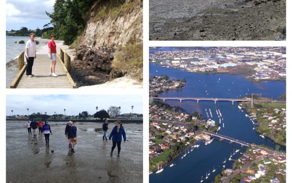 Scenes from Tamaki Estuary