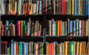 Shelves of books