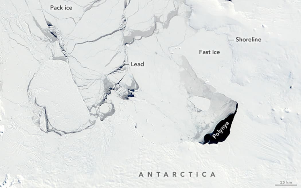 Landfast or fast ice is anchored to the shore or the sea bottom, while pack ice floats freely. As it drifts, leads continually open and close between ice floes, but persistent openings (polynyas) can be maintained by strong winds or ocean currents.