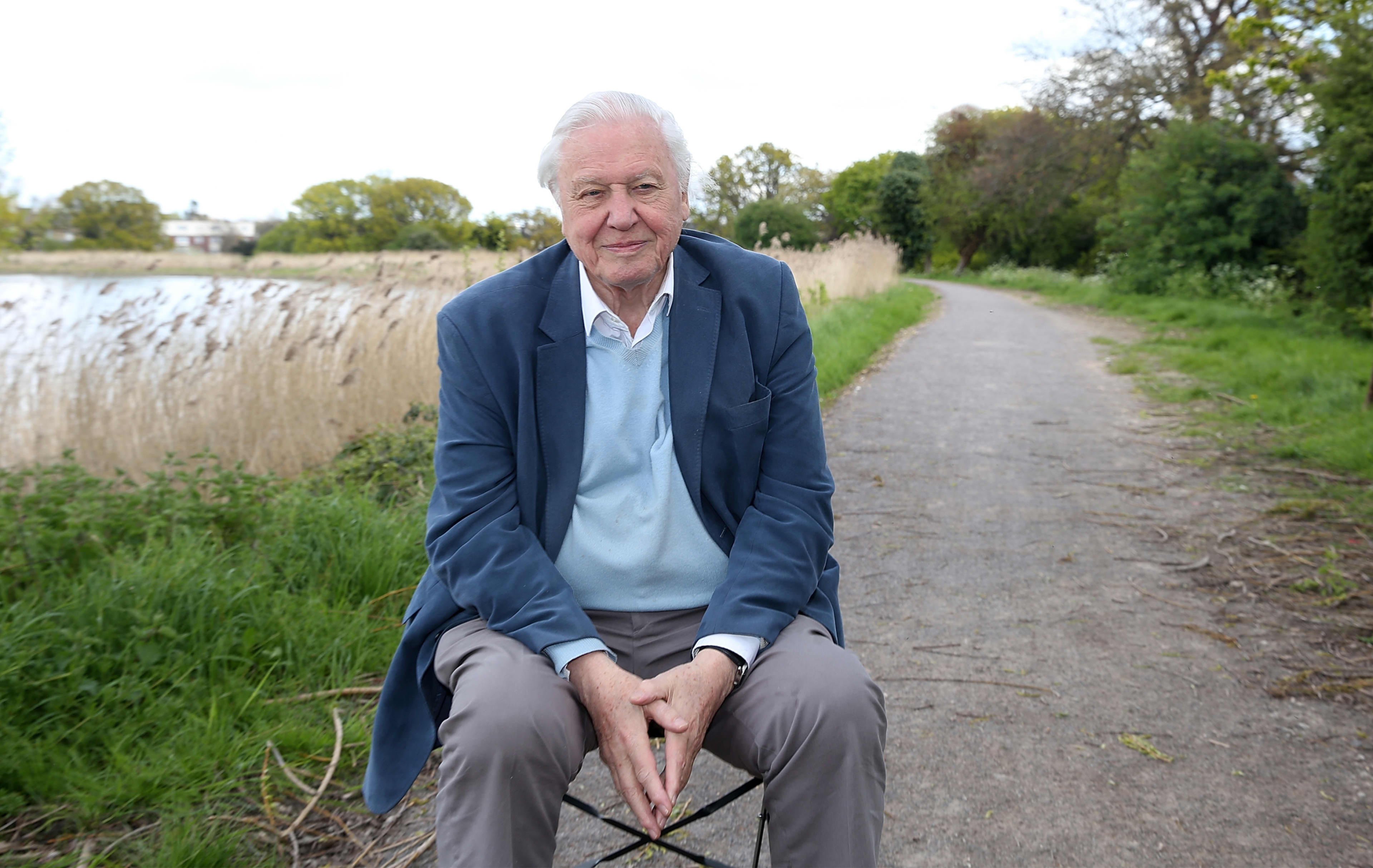 David Attenborough Celebrates Centenary Amid Global Acclaim — image 3