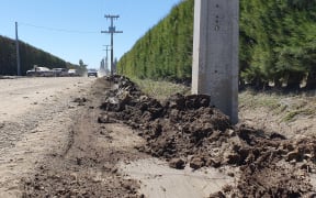 Twirls of graded mud, scraped sideways in Hawke's Bay on the roads.
