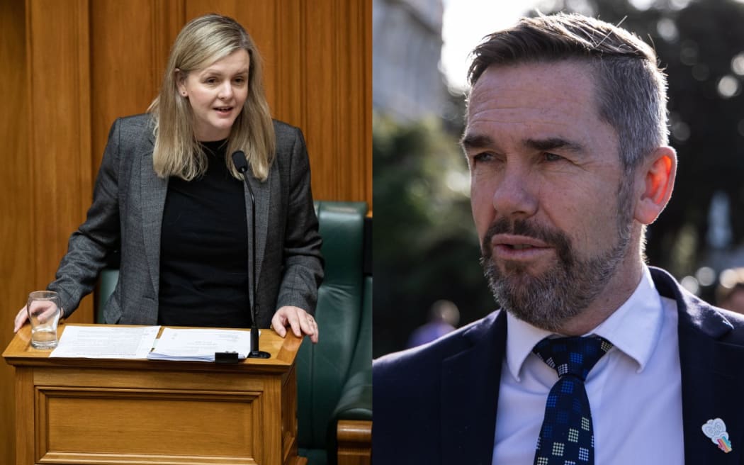 Labour's Camilla Belich and National's Greg Fleming.