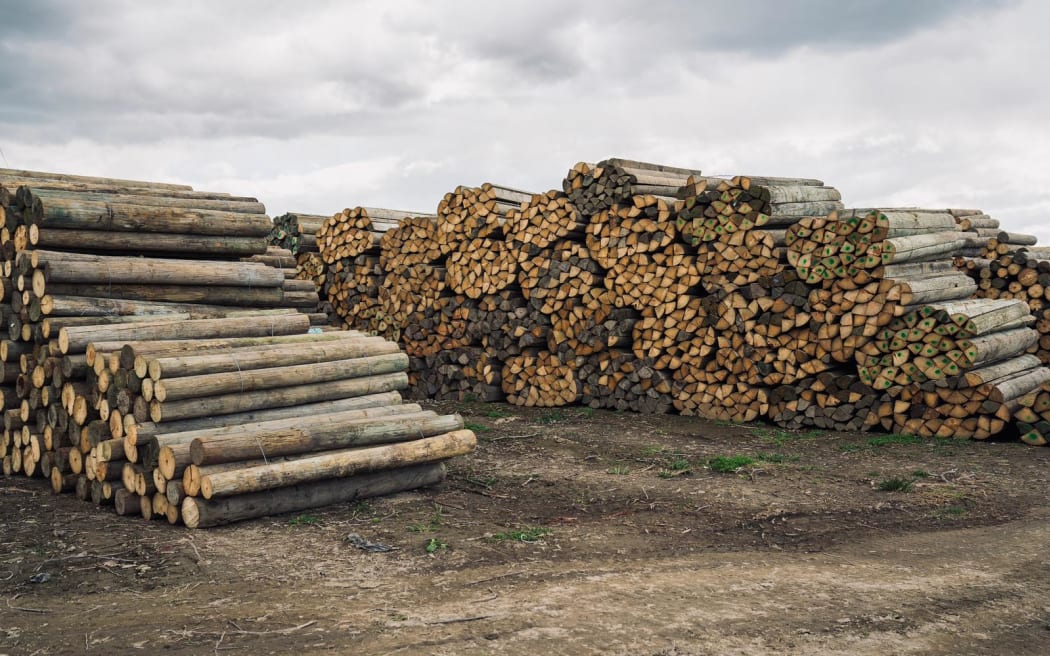 Repost has been recycling fenceposts battered during Cyclone Gabrielle and dishing them out to farmers who lost their fencelines in Hawke's Bay.