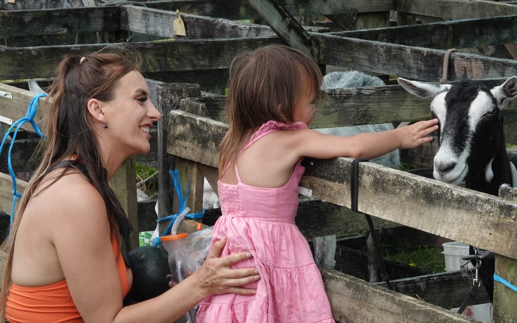 Two-year-old Aurora-Storm, from Taheke, gets acquainted with a goat while mum Ariana Wilson looks on.