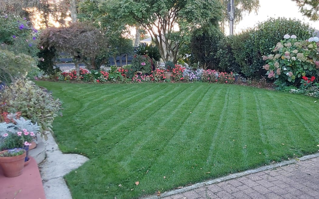 An example of Don McGovern's work, including the small grounds revived, new lawn sown, trees pruned and new garden planted.