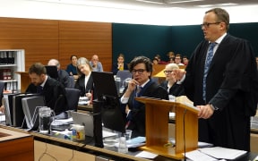 Lawyer Davey Salmon for the kiwifruit growers speaks at Wellington High Court.