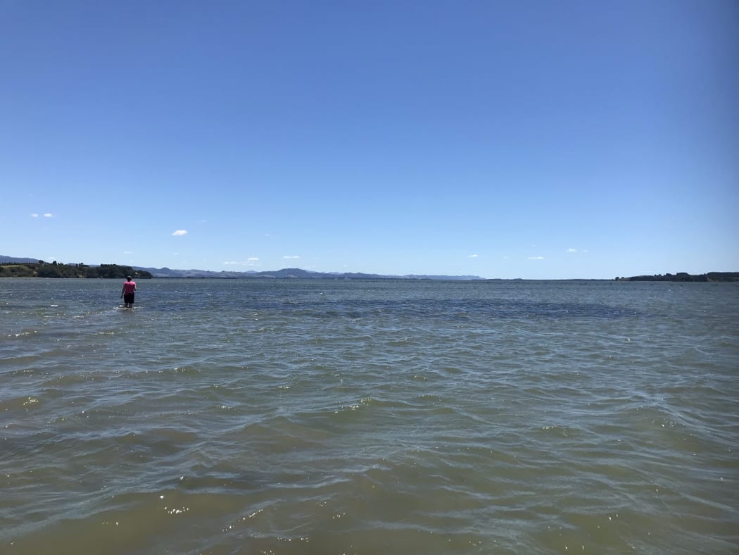 Dr. Rebecca Gladstone-Gallagher at Ōmokoroa estuary
