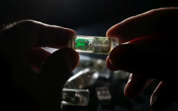 Ingestible Sensor 7 (Lillie Paquette and MIT School of Engineering)