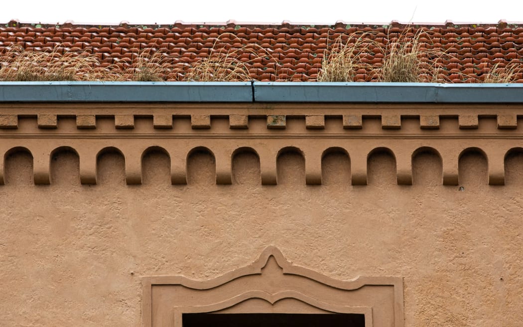 Grass growing in the gutters in the Blue Baths building.