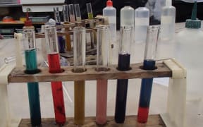 In this classroom science experiment Year 10 students liquified different colour flowers, and then added acids and bases to the test tubes to observe what happened to the colour.