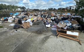 Waste dumped in a new residential development area, hidden from public view but costly to clean up.