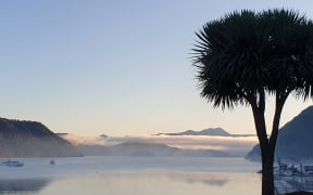 Picton's foreshore.