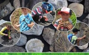 We're Going On A Fossil Hunt book cover