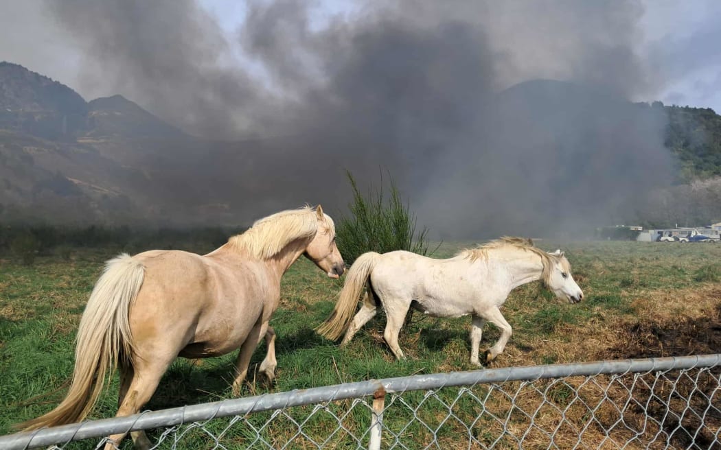 A fire which tore through dozens of cars on a rural property between Nelson and Blenheim has now been contained.