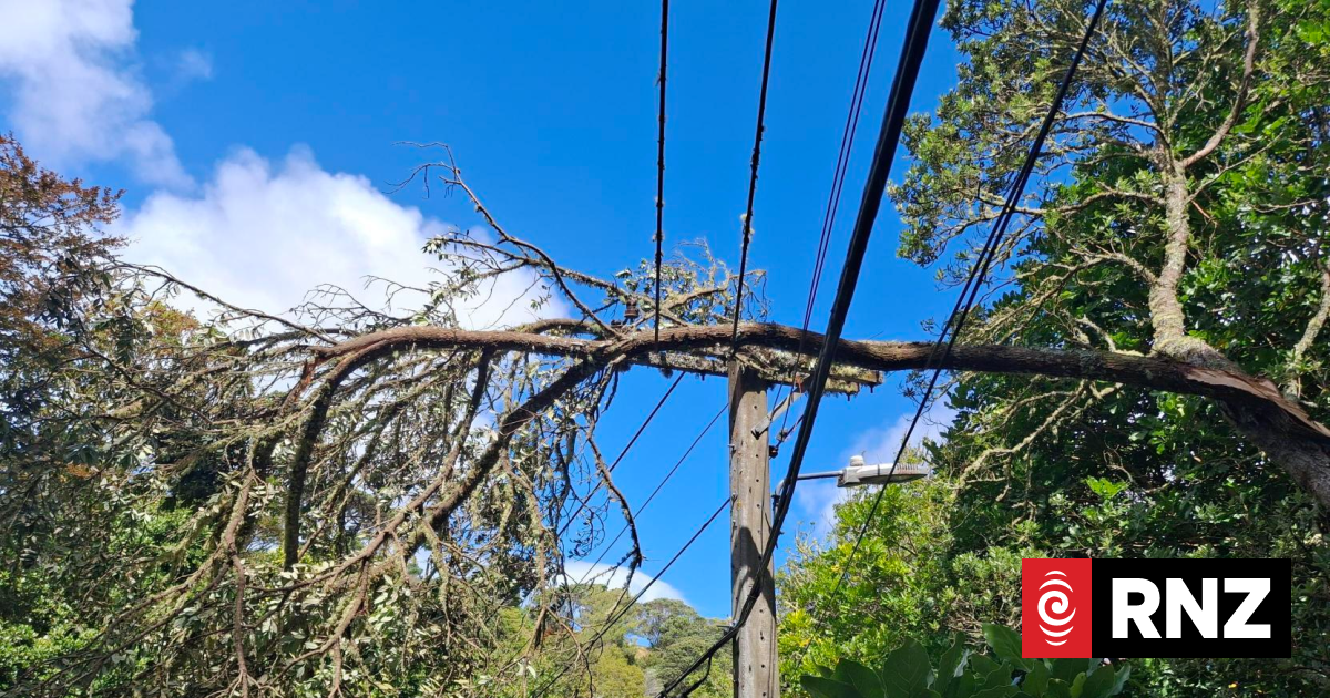 Confusion over who is meant to deal with Wellington's ongoing power cuts