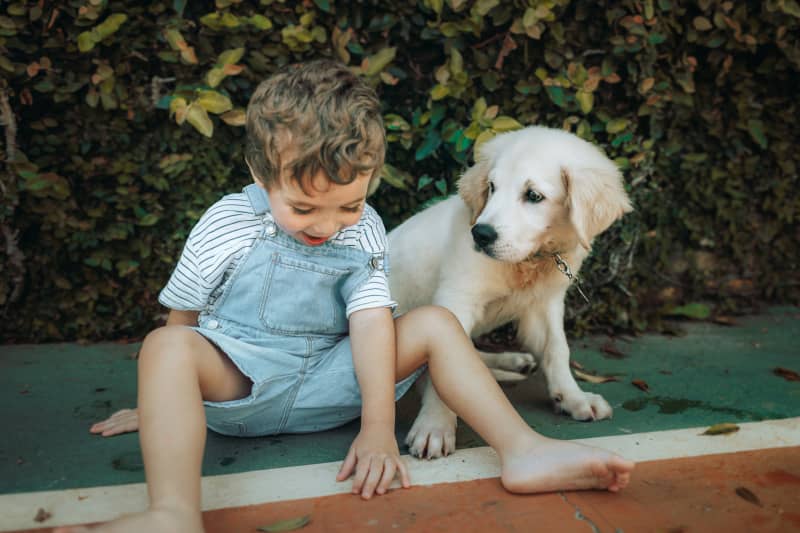 Child sitting with an unleashed dog.