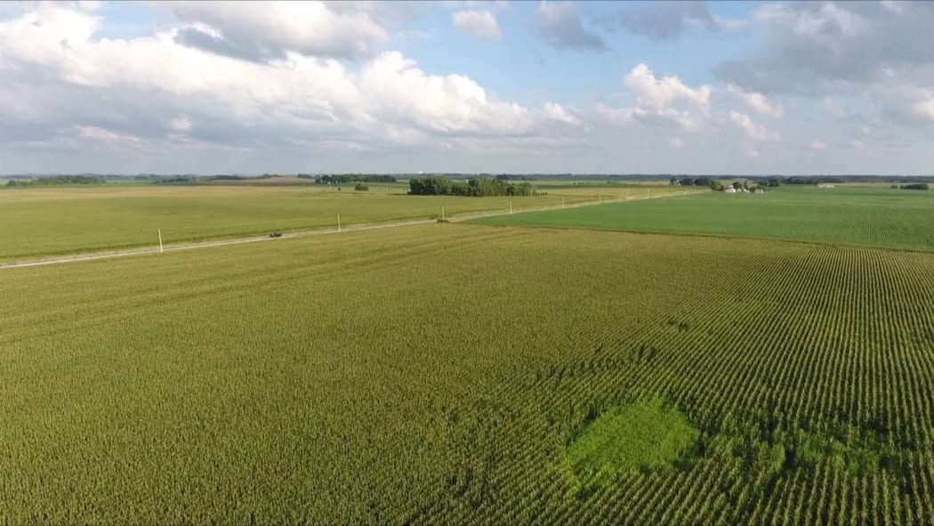 Iowa State University reports more than 85 percent of the state's total acreage is farmed, largely soy and corn fields.