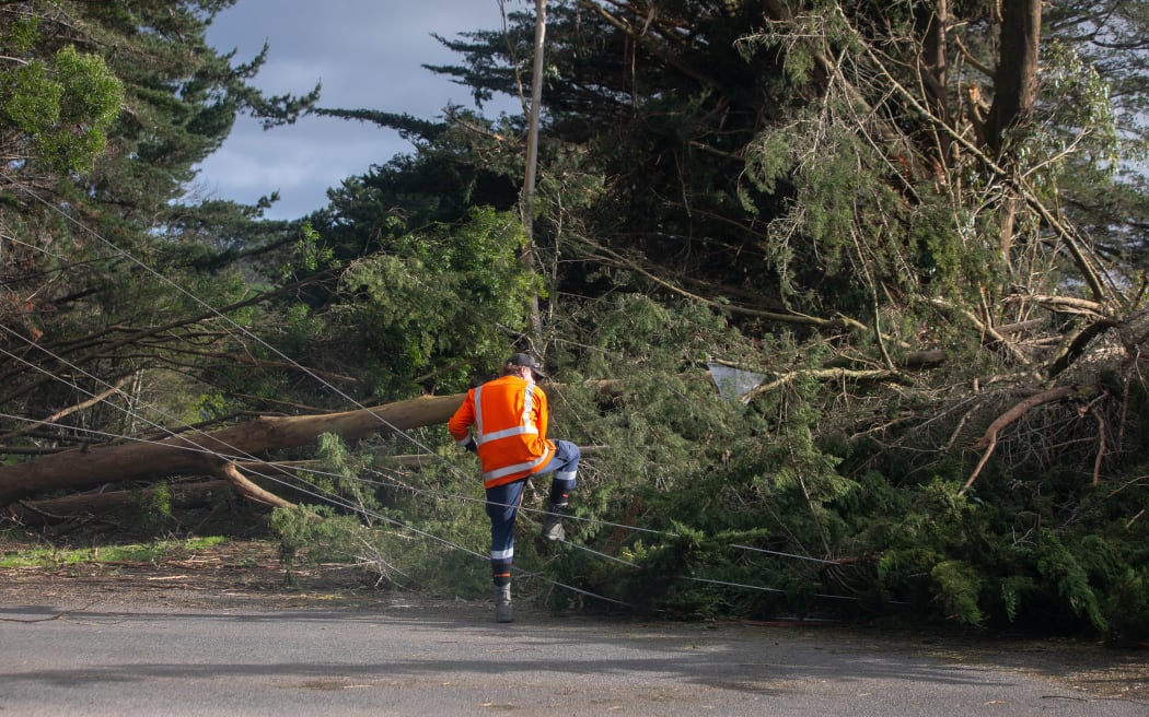 Trees down in Eketahuna. Weather.