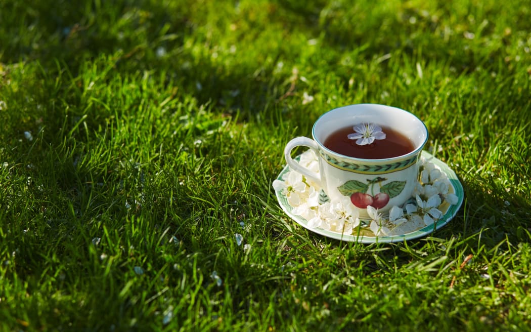 A cup of tea covered with a cherry flower on a grass