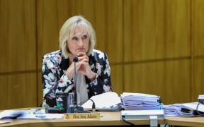 National Party MP Amy Adams in Select Committee