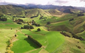 The proposed site for the Wakamoekau community water storage scheme, northwest of Masterton.