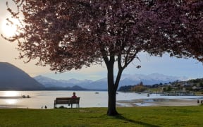 Generic stills of Wanaka