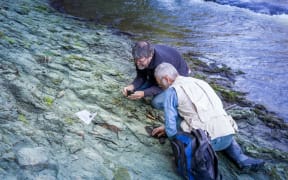 Dr Paul Scofield and amateur paleontologist Leigh Love examine a section of Waipara river bank, near where the fossil was found.