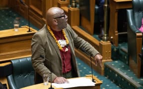 Rawiri Waititi speaks in the first reading debate for the Principles of the Treaty of Waitangi Bill.
