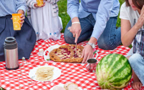 Happy family at a picnic. Picnic in the meadow or park. Young friends and their children in nature.