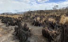 The fire has swept through a large area of pasture, scrub and wetland between Dargaville and Baylys Beach, with the thick smoke forcing some residents out of their homes.
