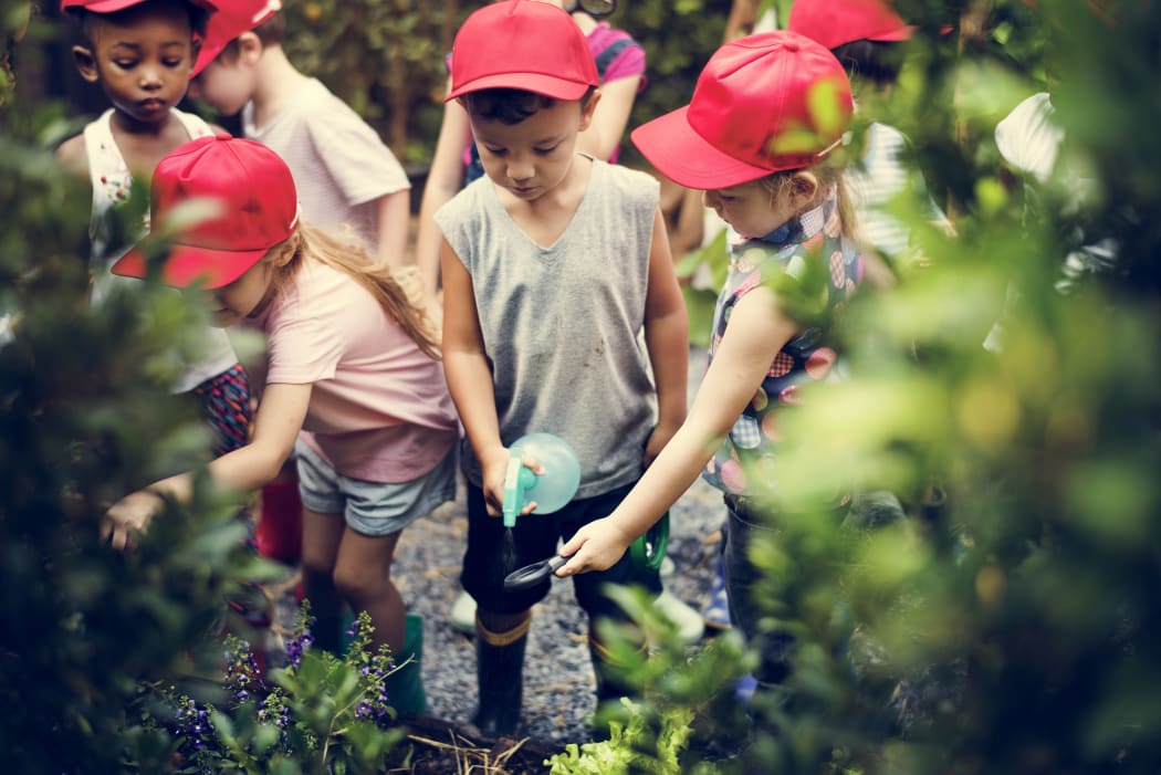 School children learning about environment in garden.