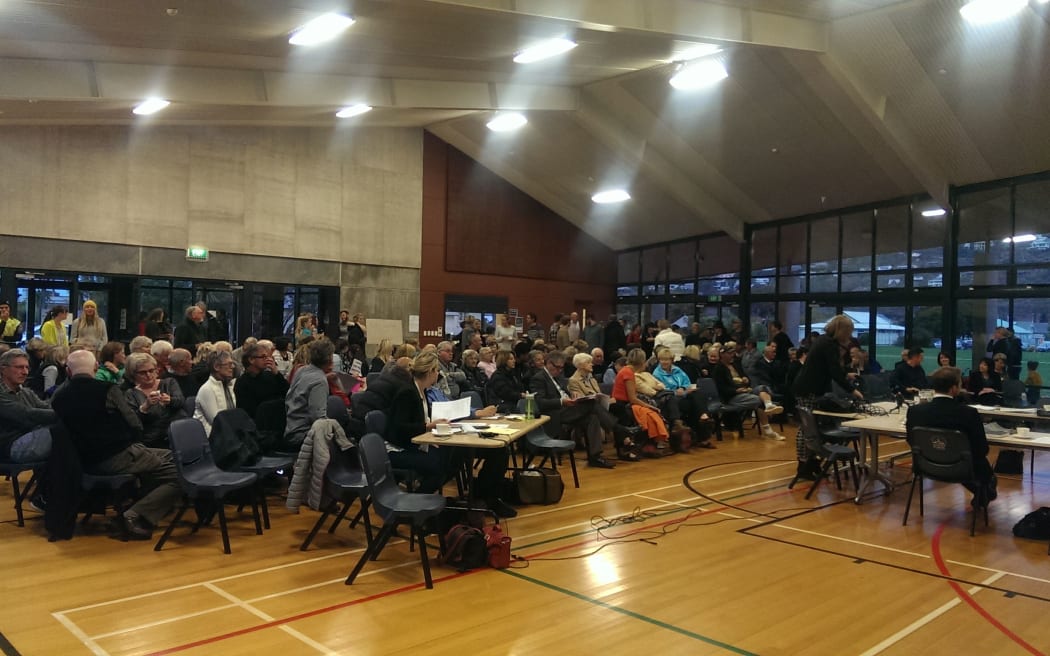 The community board voted to allow Levi's to build the skate park.
