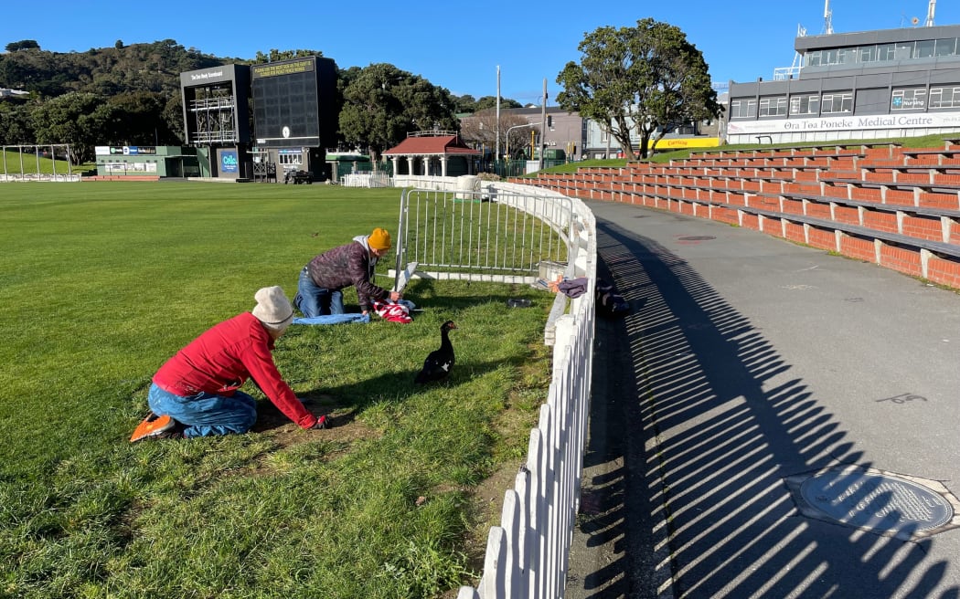 Diane Morgan sprawls onto the Basin Reserve turf to catch Sophie Devine.