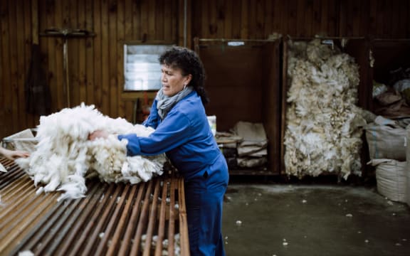 An image from a recent Shepherdess magazine edition.