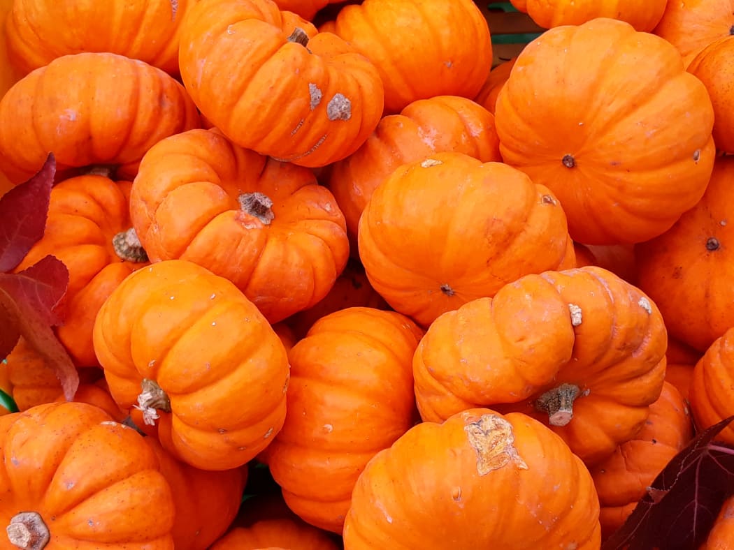 Autumn harvest