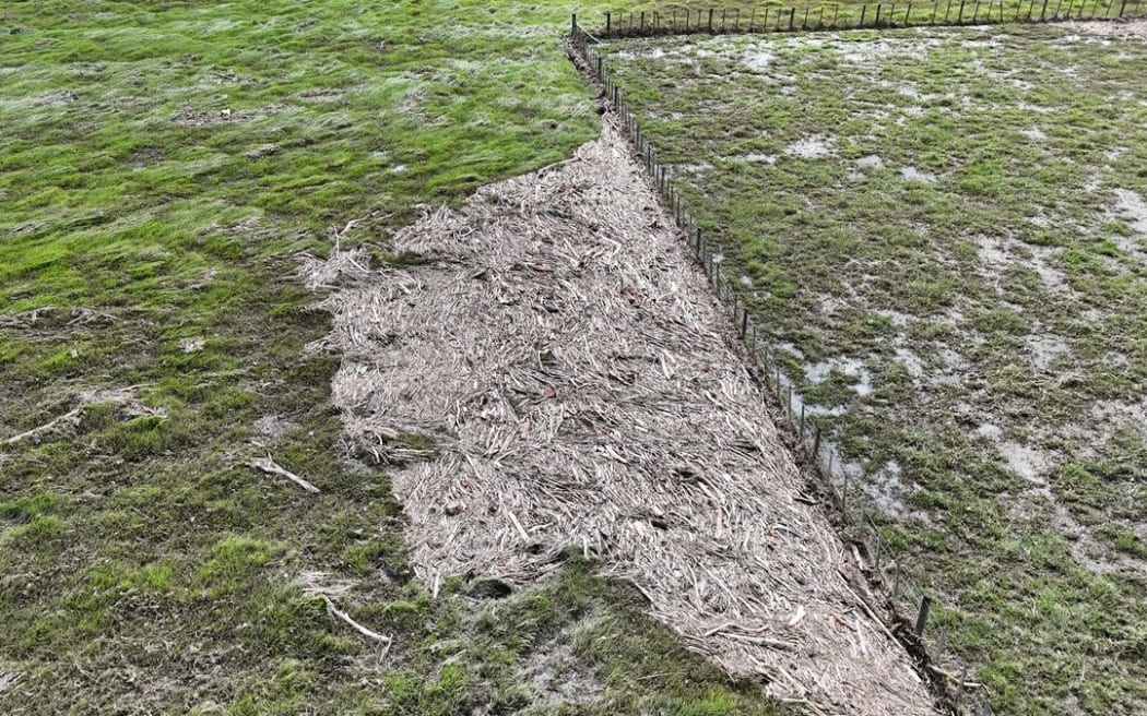 Forestry slash is pushed up against a fenceline in Whirinaki.