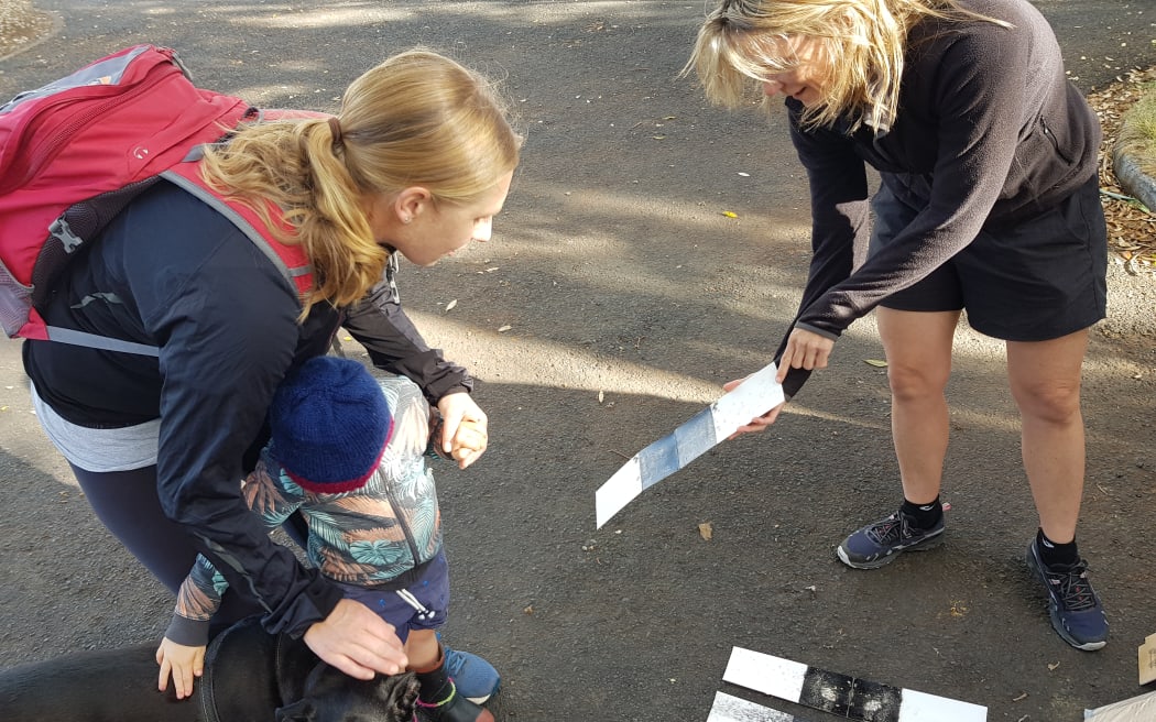 TRC senior ecologist Halema Jamieson (right) laying rat tracking tunnels with volunteers Naomi Dowding-Smith and son Declan in Pukekura Park.