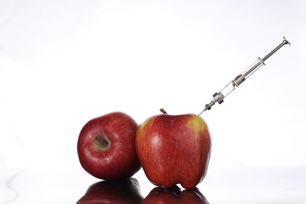 Genetically modified foods, apple pumped with chemicals from a syringe