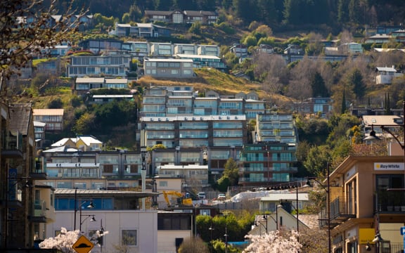 There are now 17 confirmed cases of the parasitic illness cryptosporidium in the Queenstown area.